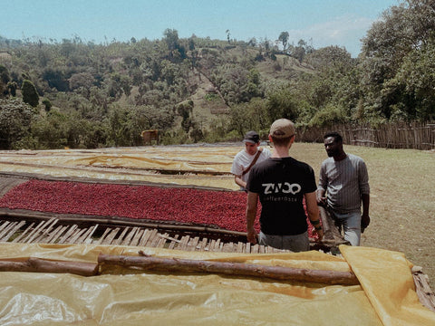 Zwoo in Äthiopien: Ein Rückblick