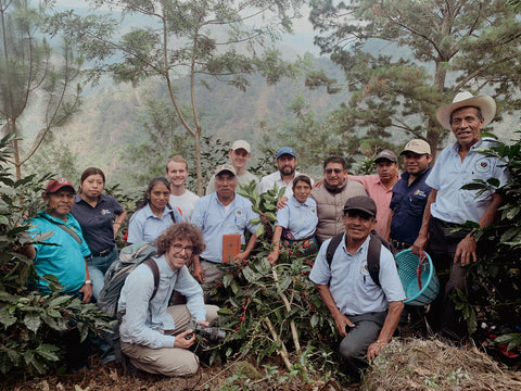 Zwoo zurück in Guatemala