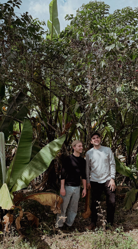 Cupping · Äthiopien-Special