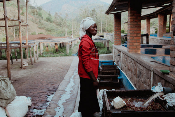 Farmerin der Kooperative Kabila im Dorf Gakenke in der Provence du nord in Ruanda. Hier wird gewaschener Fine Robusta produziert